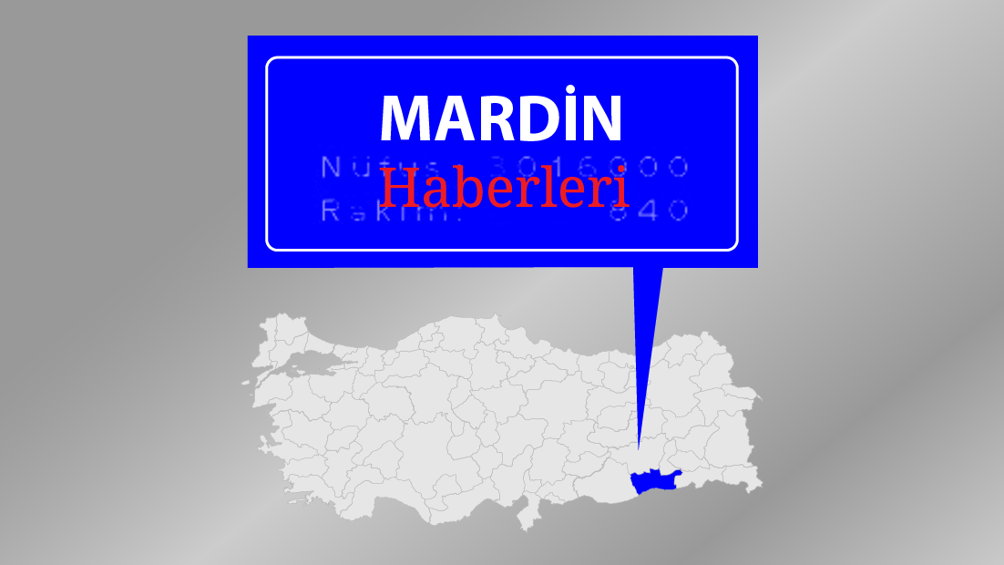 Mardin'de terör operasyonu