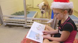 Barınaktaki köpeklere kitap okuyan çocuklar