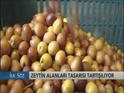 Zeytin tasarısına tepki sürüyor