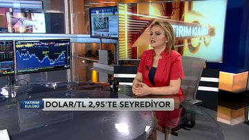"Türk Lirası risklere açık"