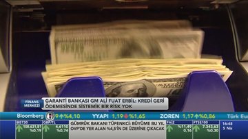 Garanti/Erbil: Kredi büyümesi 2017'de %20'yi geçebilir