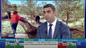 "Zeytinliklerin geleceğine ilişkin riskler devam ediyor"