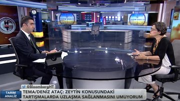 TEMA/Deniz Ataç: Zeytinlikler konusunda uzlaşma sağlanmalı