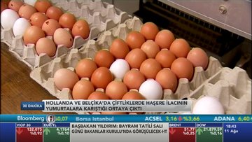 Avrupa'daki yumurta skandalı