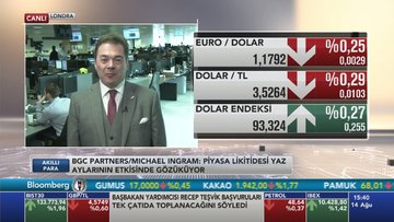 Gelişen piyasaların performansı