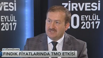 TMO'nun fındık stratejisi
