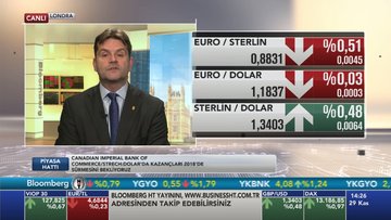 "Euro/dolar 1.24'e yükselir"