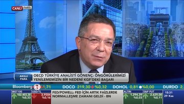 OECD Türkiye büyümesini yükseltti