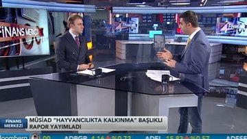 MÜSİAD 'Hayvancılıkta Kalkınma' başlıklı rapor hazırladı