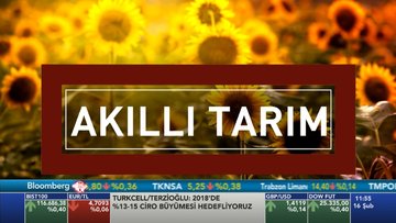 "Tarımın en önemli sorunu pazarlama ve örgütlenmede"