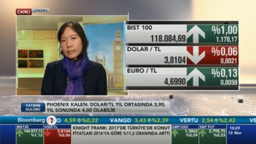 Societe General'den dolar tahmini