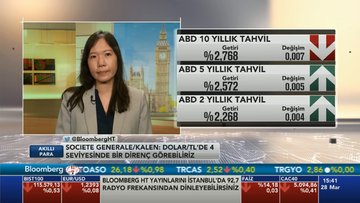 Societe Generale'den dolar/TL değerlendirmesi