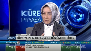 Hatice Karahan- Türkiye ekonomisi