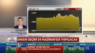 Erken seçim kararı nasıl yankı buldu?