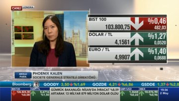 Societe Generale'den TL varlıkları değerlendirmesi