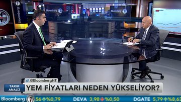 Yem fiyatlarındaki yükseliş sürecek mi?