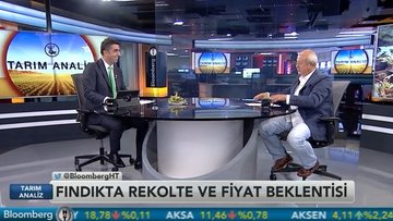 Fındık üreticisinin fiyat beklentisi