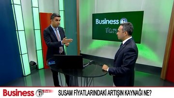 Susam fiyatlarının seyri