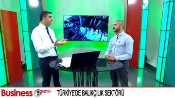 Denizlerimizdeki balık sayısı hızla azalıyor