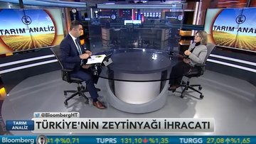 "Zeytinyağına verilen 80 kuruş destek pek işe yaramıyor"
