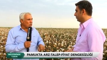 Şanlıurfa'da pamuk hasadı - Mevsiminde Tarım