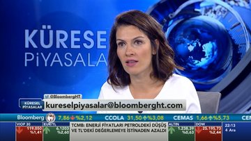 Özlem Bayraktar Gökşen-ABD