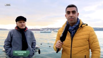 Türkiye'de balıkçılık sektörünün durumu