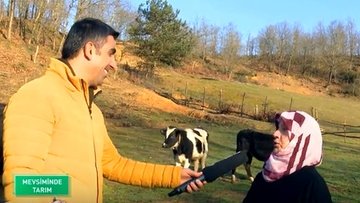 "Ben küçük milli sermayeyim"