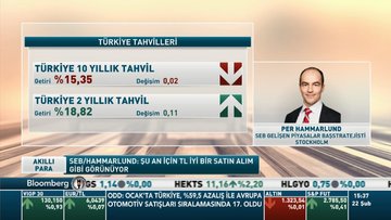 "Türk Lirası geçen yılki gibi hassas değil"