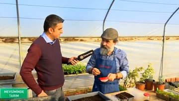 Solucan gübresi ve atalık tohumlarla tarım