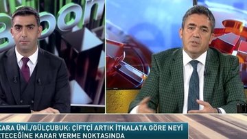 Tarımın ekonomik görünümü ve kırsaldaki yansımaları