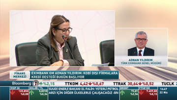 Eximbank KOBİ dışı firmalara TL kredi kullandıracak