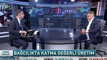 Üzümün katma değerli yolculuğu
