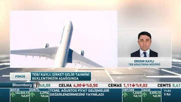 TEB/Kaylı: THY'de talep şüphemiz yok, ama dışsal faktörler artıyor