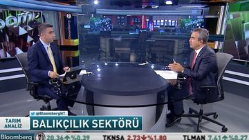 "Hamsi avında balıkçılara kota getirilmesi gerekiyor"