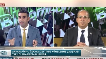 Türkiye'de zeytincilik ve zeytinyağı sektörü