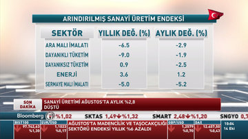 Sanayi üretiminde düşüş ne anlama geliyor?