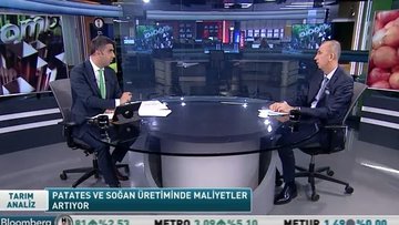 Patates ve soğan üretiminde maliyet ve fiyatlar