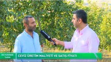 Ceviz yetiştiriciliğine dair merak edilenler