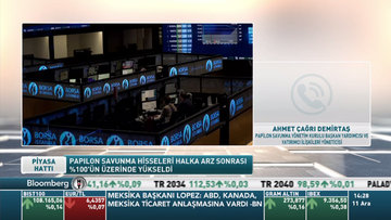 Papilon halka arz sonrası % 100'e yakın yükseldi