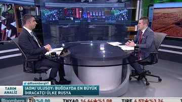 Buğday ithalatındaki rekorun nedenleri ve sonuçları