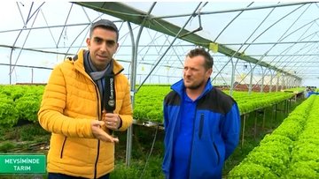 Mantar yetiştiriciliği ve topraksız tarıma dair merak edilenler