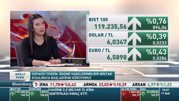 Coface Türkiye'nin risk görünümünü bir kademe iyileştirdi