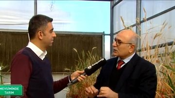 Buğdaydan nohuta Anadolu'nun gen kaynakları
