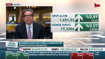 Goldman Sachs'tan emtia değerlendirmesi