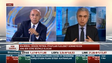 Fatih Birol /Petrol fiyatlamaları