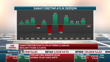 Sanayi üretimi yıla nasıl başladı?