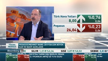 Pegasus/Nane: Yurt içinde yüzde 60 civarlarında bir doluluk var