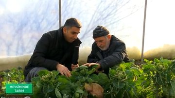 Atalık tohumlarla sebze ve meyve üretimi