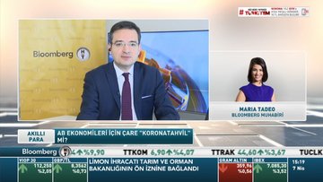 AB maliye bakanları koronavirüs adımlarında anlaşabilecek mi?